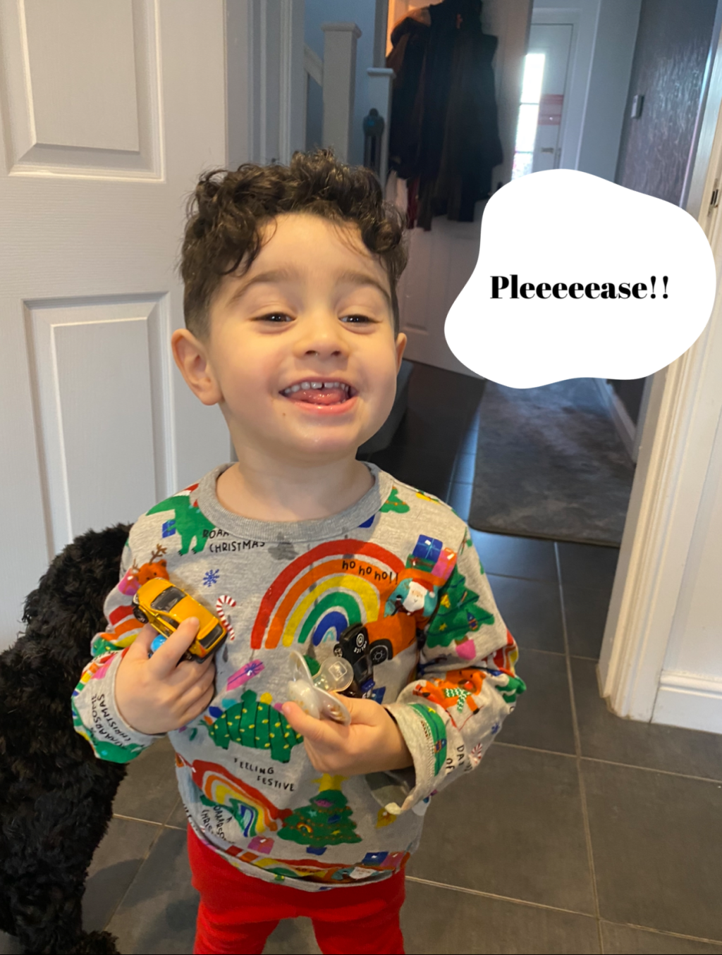 “Dad I want&nbsp;Dino’s”